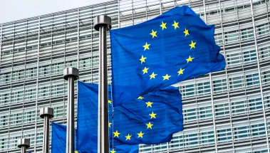 L'Uniopss accueille le Conseil français des personnes handicapées pour les questions européennes le 8 mars 2011